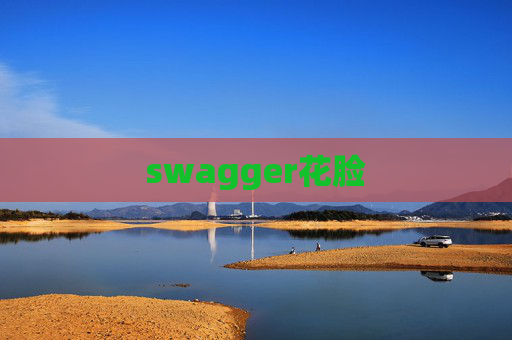 swagger花脸 swagger花脸