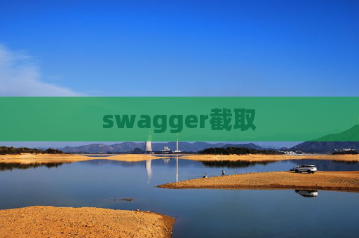 swagger截取